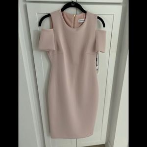 NWT Calvin Klein pastel pink dress Size 4.